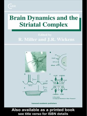 cover image of Brain Dynamics and the Striatal Complex